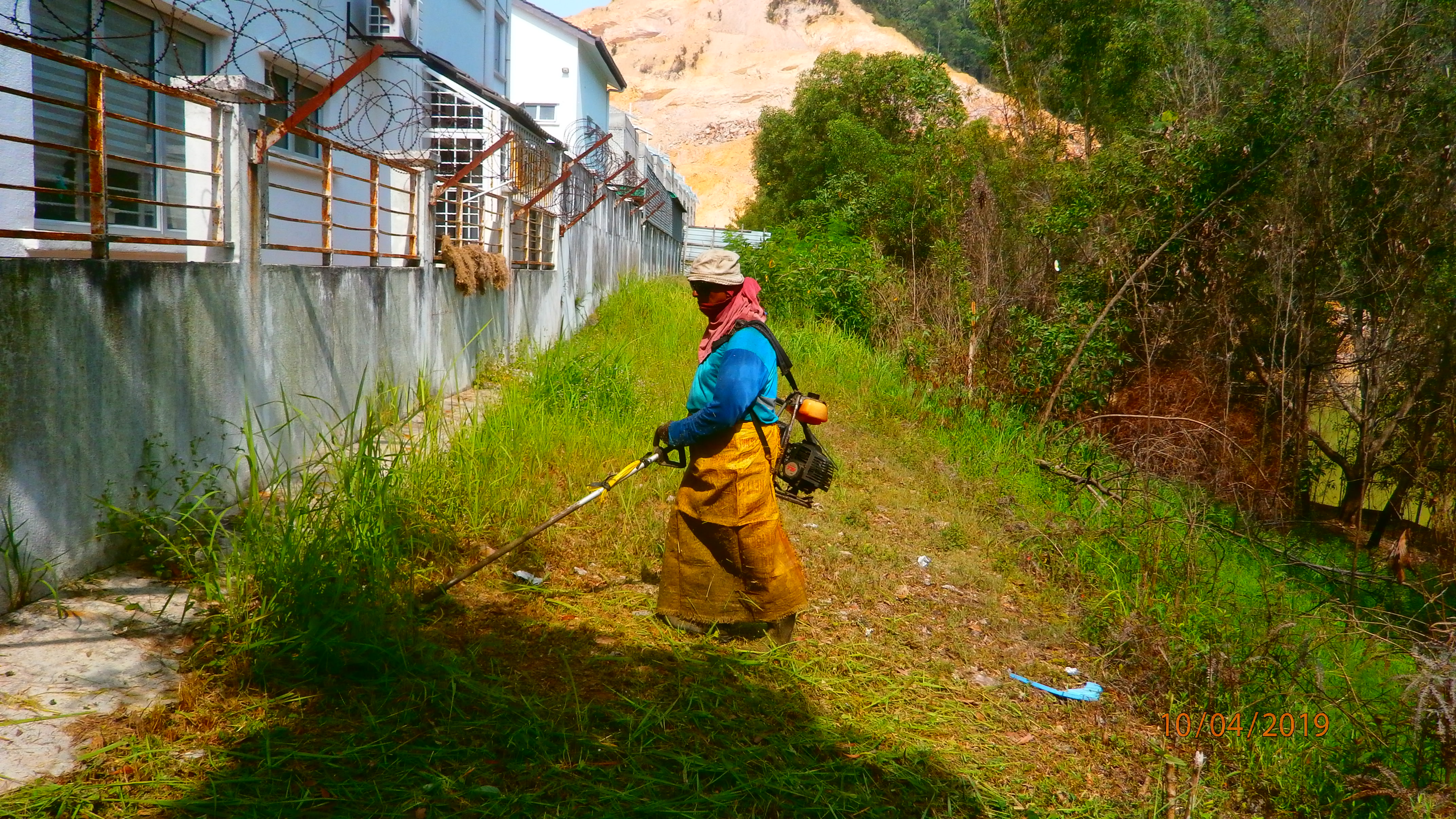 Grass cutting