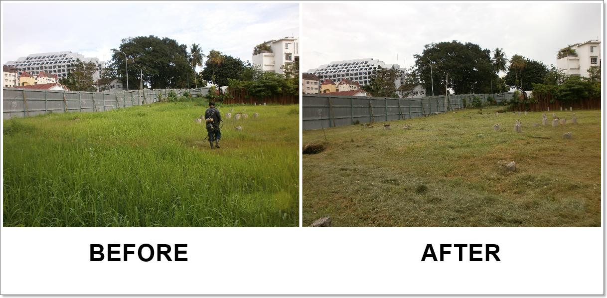 Grass cutting
