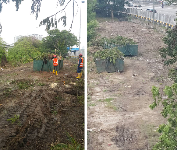 Site clearing